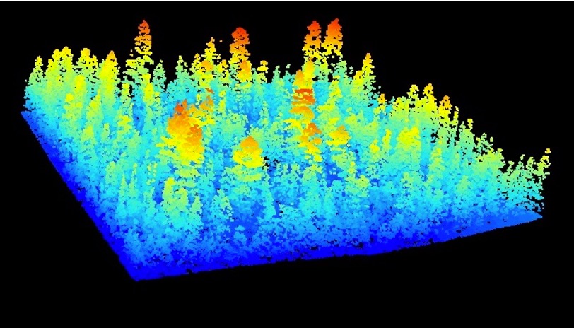 NEONLidar