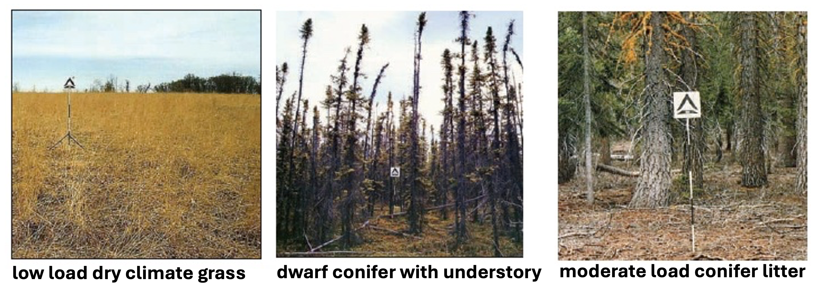 low load climate grass
